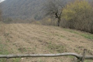  «Թեղուտ» ՓԲԸ-ն հրավիրում է հանդիպման