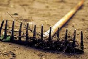 Association Agreements with the EU: Stepping on the Same Rake Again?