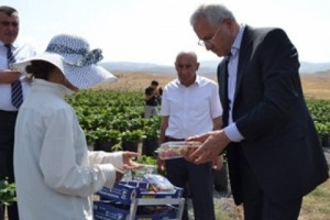 Ո՞ւմ համար է աշխատում գյուղնախարարությունը