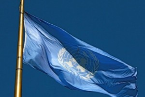 U.N. Office Employees Violate Parking Rules

