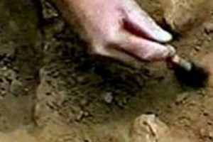 Remains of WWII Soldier Identified