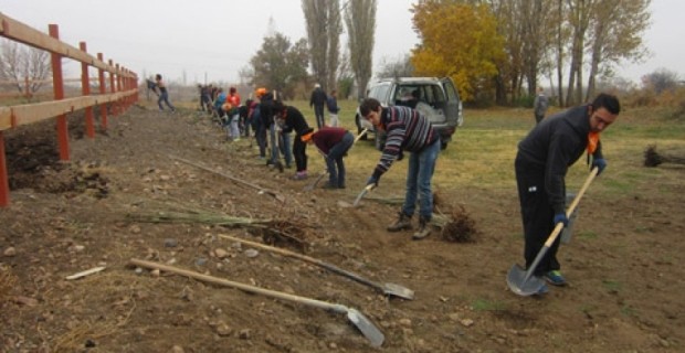 ATP Partners with Businesses, Local Residents, to Create Green Spaces in Armenia and Artsakh