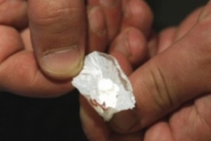 Americas: InSight Crime's Predictions For 2014