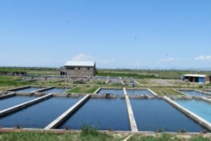 Armenian Ministry Says It's Ready to Dismantle More Illegal Artesian Wells