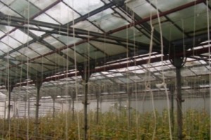 45 մլն դրամի վնասը չհատուցելը, ըստ դատարանի, իրավական հետեւանք չէ