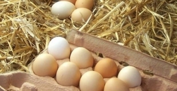 Ինչո՞ւ է ՀՀ-ն դարձել հավկիթ ներկրող երկիր