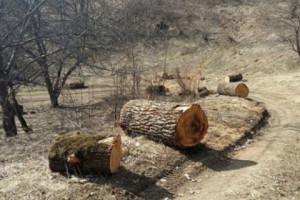 Հովհ. Քոչինյան. «Դավիթ Լոքյանը պիտի ասի, թե 1999 թ. հոկտեմբերի 27-ին ում զանգով 
դուրս եկավ»