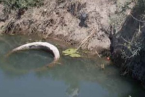 Crumbling Armavir Bridge a Lifeline for Local Village Residents