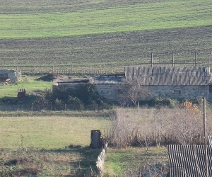 Cattle Theft Hits Tavush: All Tracks Lead to the Azeri Border