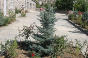Hope in Khndzoresk: Population’s Up and Problems Tackled in Syunik Village