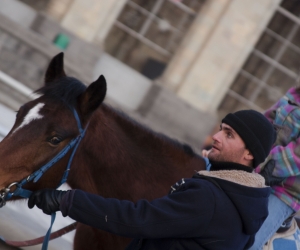 I'm a Horse and the Yerevan Police Arrested Me on New Year's