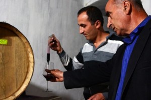 Made in Artsakh: Kataro Wine Breaks Into Armenian and Russian Markets