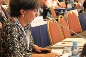 Azerbaijan ‘makes mockery of democratic aspirations’ in civil society crackdown, says OSCE PA human rights chair
