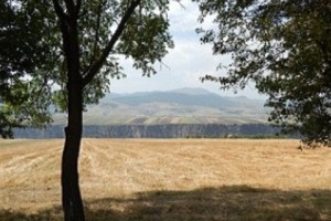 «Հաջողությունն ինքն իրեն չի ստացվում` աշխատանքով է»,- ասում է Կարմիր Աղեկ 
գյուղի ամենահաջողակ ֆերմերը