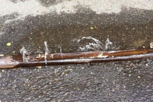 Residents Offer to Pay for Irrigation Water, But Yerevan Municipality Keeps Postponing Issue