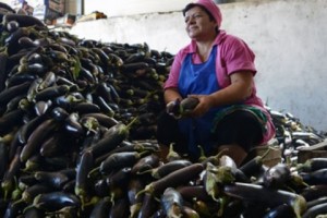 Россия - самый крупный рынок сбыта арцахской продукции (фоторепортаж)