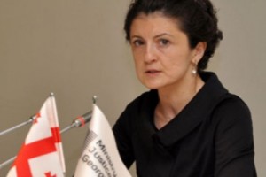 Վրաստանը օտարերկրյա քաղաքացիներին ժամանակ է տալիս կարգավորել վիզայի խնդիրները մինչ 2015թ.-ի մարտը