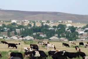 Kazakhstan: Agriculture Official Sentenced To 10 Years For Taking Bribes
