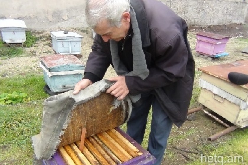 Goris Apiarist: ‘Beekeeping Isn’t Difficult, but It’s Still Hard Work’