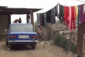 Քրեական գործ է հարուցվել Ոսկեւան գյուղի բնակիչ, 80-ամյա Սերյոժա Սարգսյանի սպանության դեպքի առթիվ