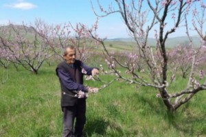 Попадающие в реку Дебед хвосты мешают восстановлению садов в Чочкане