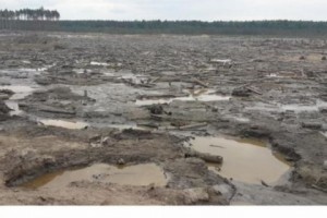 Ukraine: President Targets Illegal Amber Mining Industry

