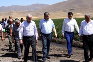 Գեղարքունիքում կարտոֆիլի բարձր բերք է սպասվում