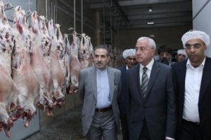Արարատի  մարզում շահագործման է հանձնվել հանրապետության ամենախոշոր  սպանդանոցը