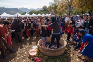 В Арцахе пройдет фестиваль вина