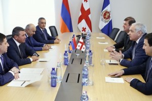 ՀՀ ոստիկանության պատվիրակությունը Վրաստանում