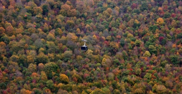 Tatev Cable Car Has Ferried 430,000 Passengers in Five Years