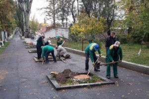 Չոր ու վթարավտանգ բարդիները փոխարինվում են  նորատունկերով