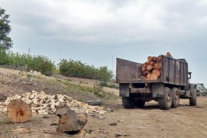 Դրամաշնորհներ բնապահպանությամբ հետաքրքրված լրագրողների համար