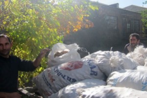 Ոռոգման ջուր չունեցող Վարդաբլուրում կարտոֆիլի բերքը նորմայից 2-3 անգամ պակաս է 
եղել