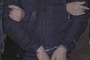 Yerevan Police Detain Liberty Square Sit-Down Striker