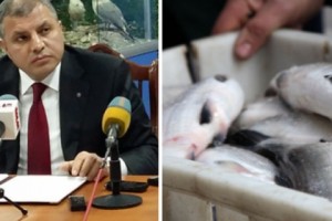Почему Минэкологии не может пресечь хищения сига