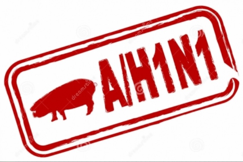 Խոզի միսը չի կարող լինել H1N1-ով վարակման պատճառ