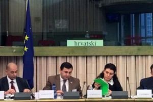 Armenia's Deputy FM Participates in Armenia-EU Parliamentary Cooperation 
Committee Session