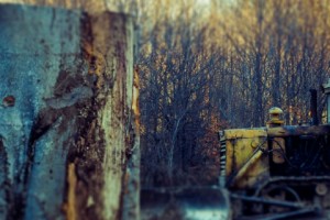 Дровяной бизнес: работники лесных хозяйств координируют законные и незаконные вырубки 
лесов