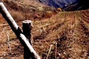 Малина или ГЭС? Жители Агви отказываются от переговоров