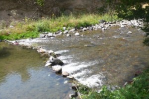 Минэкологии не давало разрешения на использование воды из реки Азат с целью осуществления 
Кахцрашенской программы