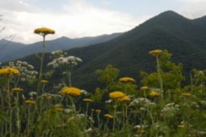 Մրցույթ՝ կլիմայի փոփոխության կամ մաքուր տեխնոլոգիաների ոլորտին առնչվող 
բիզնես գաղափարների համար