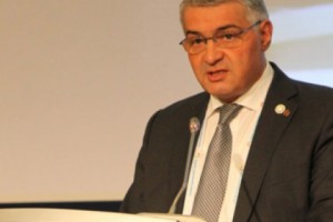 Заместитель министра Овакимян принял участие во Всемирном саммите по гуманитарным 
вопросам