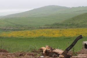 Սահմանին հիմնականում հանգիստ է եղել