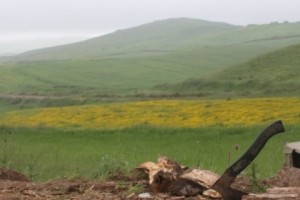 Artsakh Line of Contact Remains Calm, Despite Sporadic Small Arms Fire