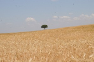 Artsakh Line of Contact Remains Calm