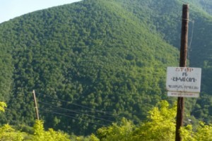 Բնությանը մեկ շաբաթվա ընթացքում հասցվել է 3,8 մլն դրամի վնաս