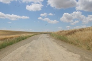 Karabakh Line of Contact Calm