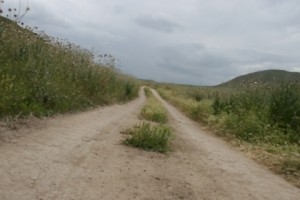 Azerbaijan Conducts Aircraft Training Missions Along Border, Says Artsakh Ministry