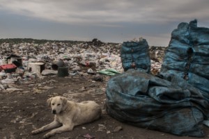 Армавирская область: работающие на мусорной свалке и замусоренный водовод